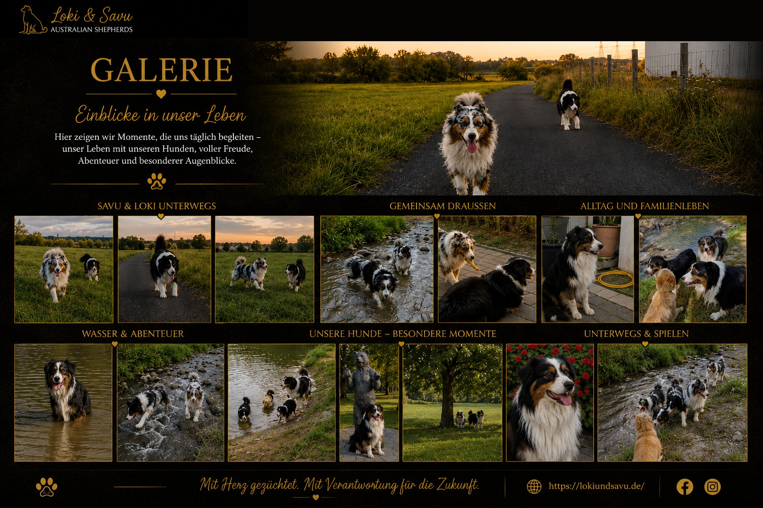 Galerie