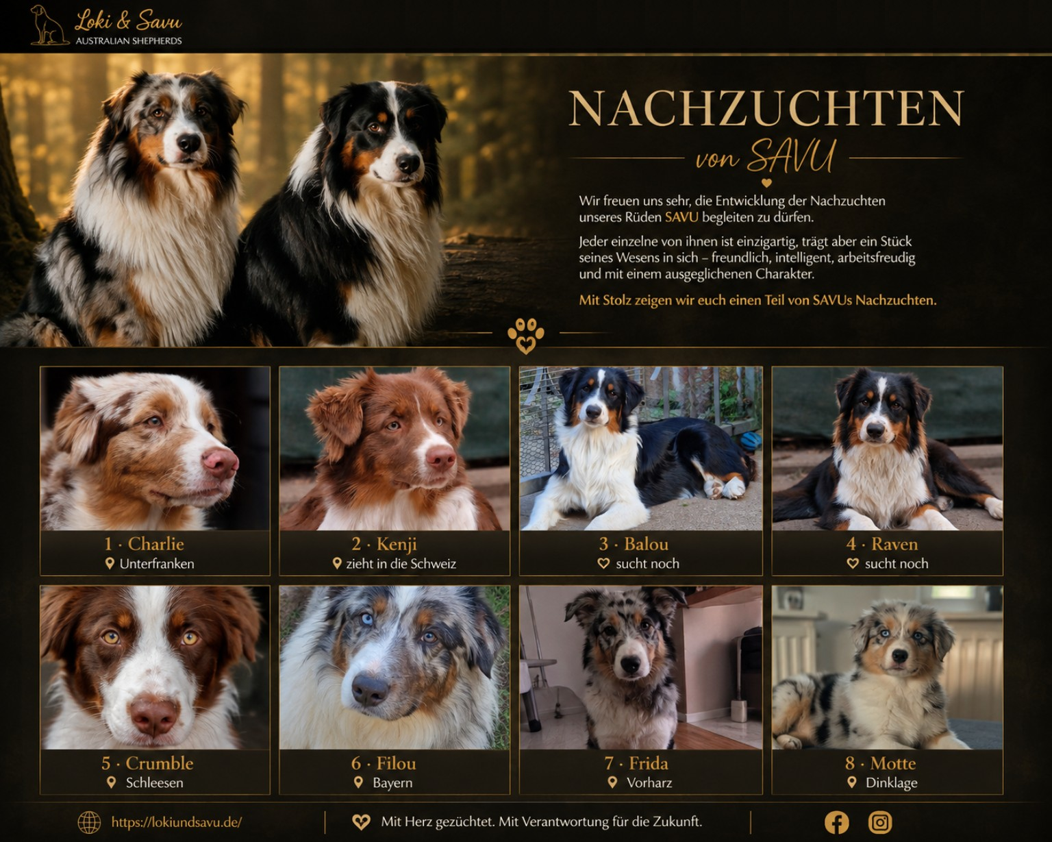 Nachzuchten von Savu